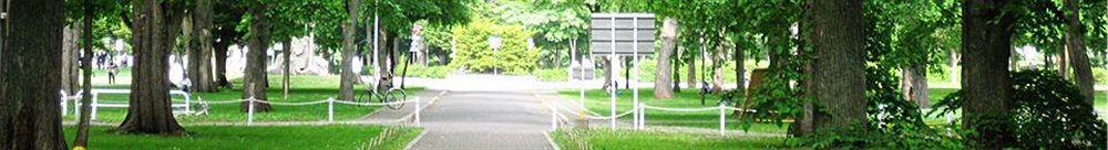 Jr 3* 扎幌